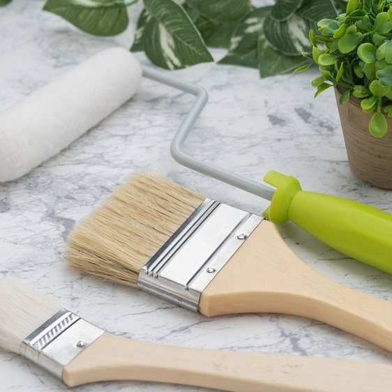 Paint brushes, a roller, and a small potted plant on a marble surface.