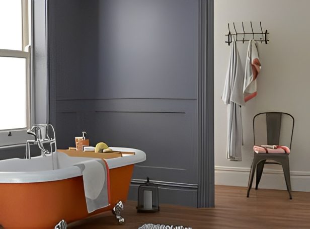 Newry Decorating Centre ANTI-MOULD PAINT